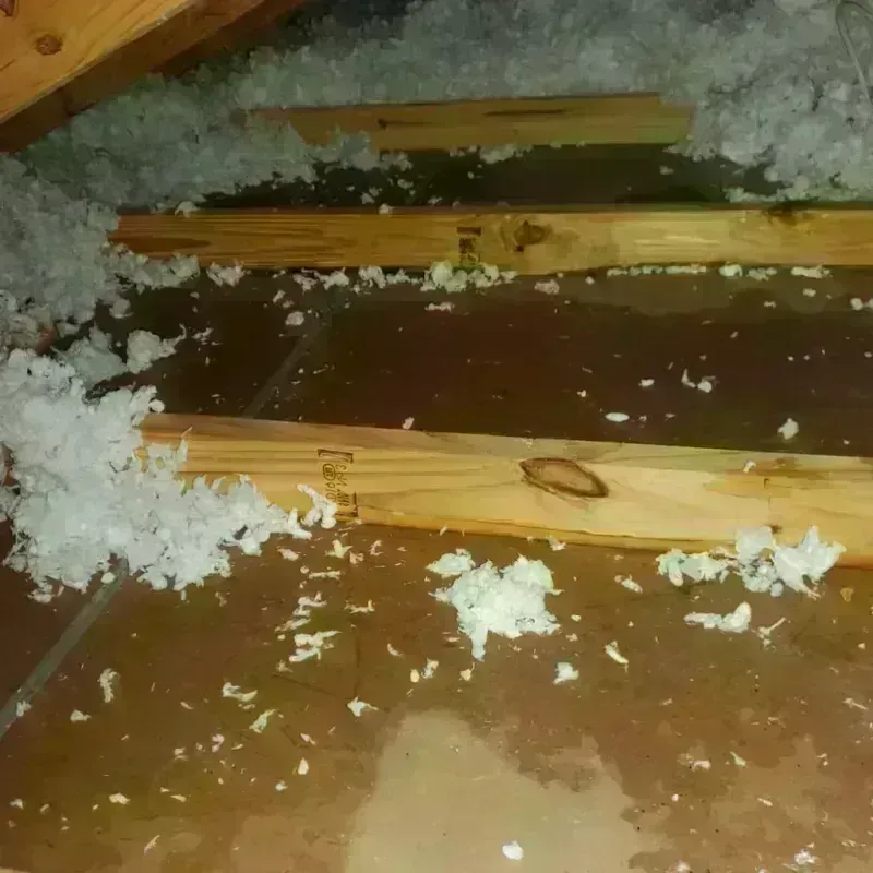 Attic Water Damage in Shelby County, TX