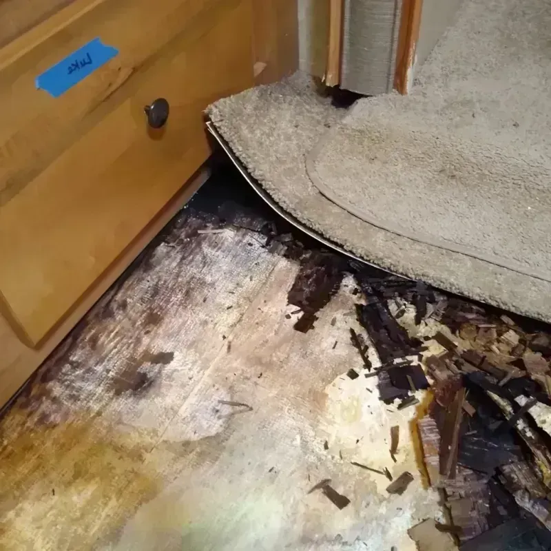 Wood Floor Water Damage in Shelby County, TX